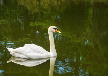 Similar image 2841290