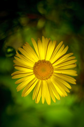 Similar image 2841338