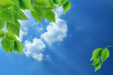 Similar image 2841423