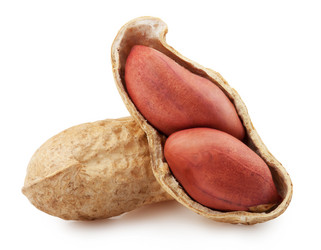 Similar image 2841451