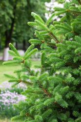 Similar image 2841456