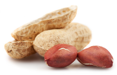 Similar image 2841457