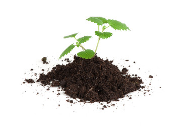 Similar image 2841523