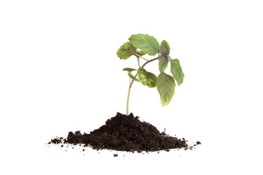 Similar image 2841530