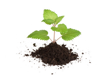 Similar image 2841531