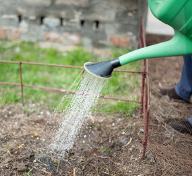 Similar image 2841534