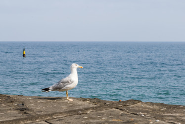 Similar image 2841571