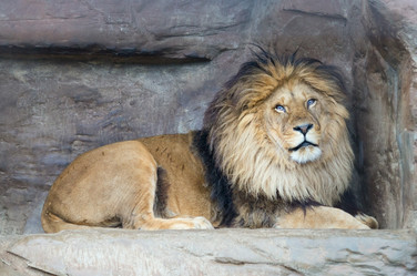 Similar image 2841645