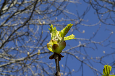 Similar image 2841839