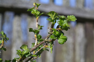 Similar image 2841840