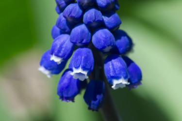 Similar image 2841841