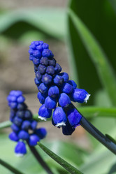 Similar image 2841842