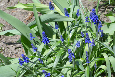 Similar image 2841846