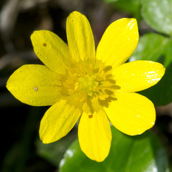 Similar image 2841848