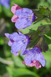 Similar image 2841850