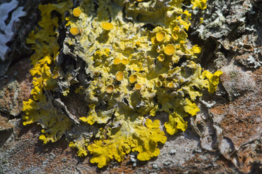 Similar image 2841852