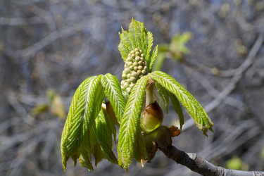 Similar image 2841854