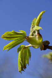 Similar image 2841855