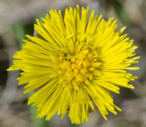 Similar image 2841858