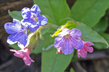 Similar image 2841859