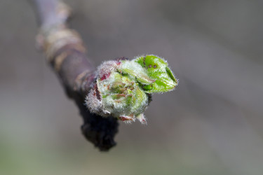 Similar image 2841860