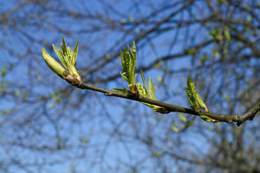 Similar image 2841861