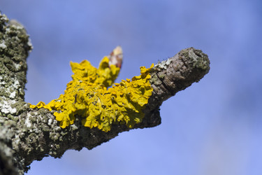 Similar image 2841863