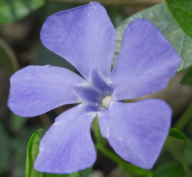 Similar image 2841864