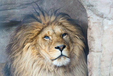 Similar image 2841868