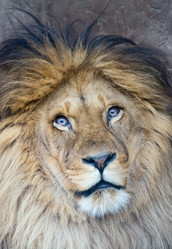 Similar image 2841869