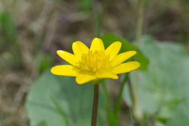 Similar image 2841871