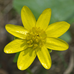 Similar image 2841874