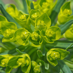 Similar image 2841875