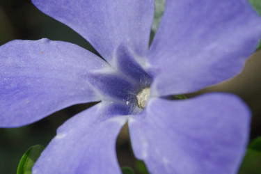 Similar image 2841876