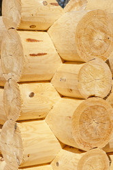 Similar image 2841880