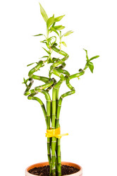 Similar image 2841911