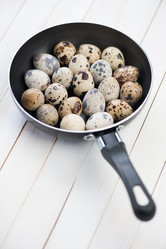 Similar image 2841929