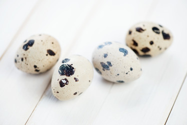 Similar image 2841932