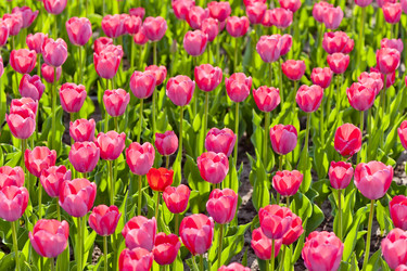 Similar image 2841951