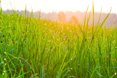 Similar image 2841964