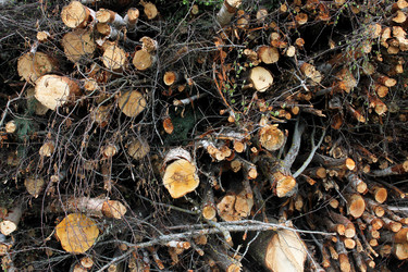 Similar image 2841982