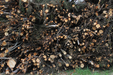 Similar image 2841983