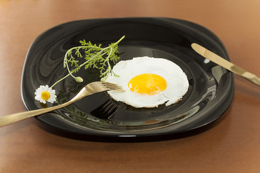 Similar image 2842101