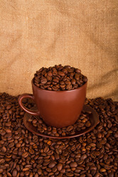 Similar image 2842120