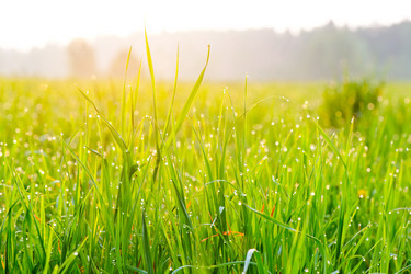 Similar image 2842123