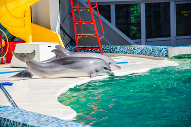 Similar image 2842145