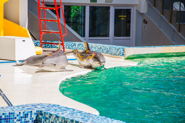 Similar image 2842146