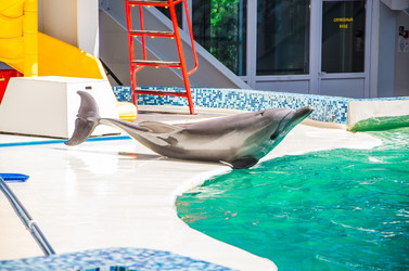 Similar image 2842147