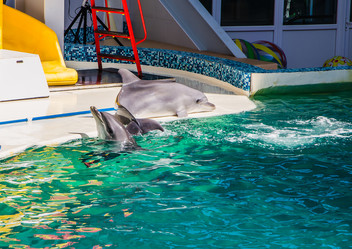 Similar image 2842148