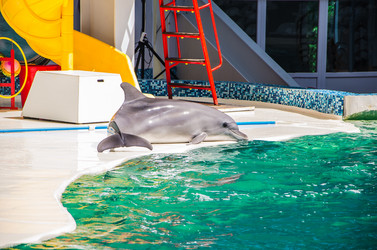 Similar image 2842151